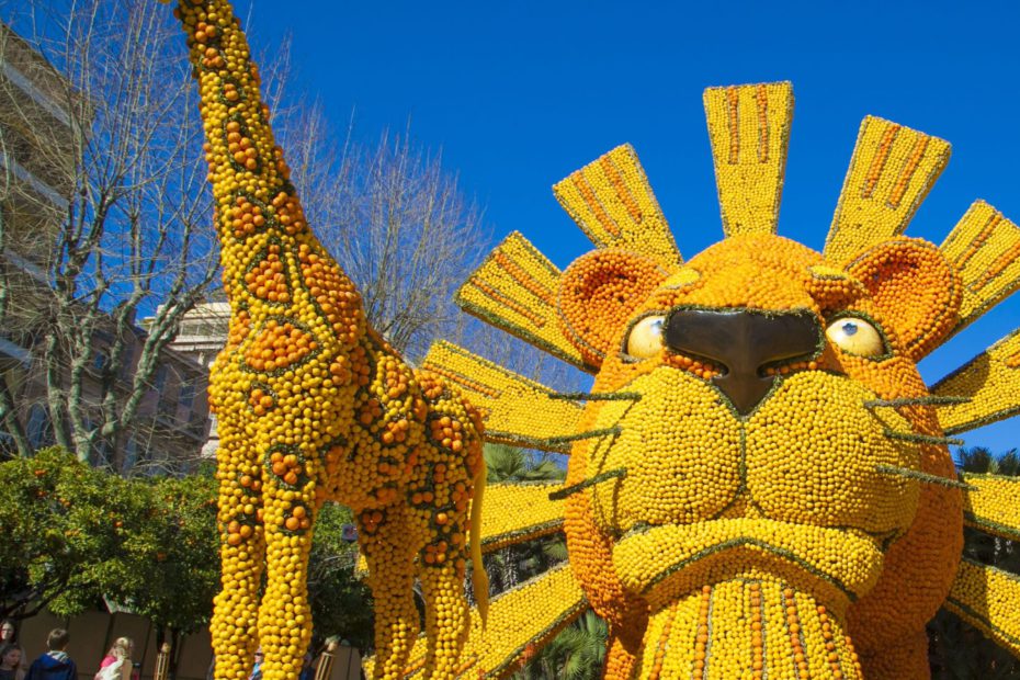 Français : photographie d'un motif dans les jardins biovès pour la 84ème Fête du Citron® ; 25 February 2015 ; Nicolas sartore