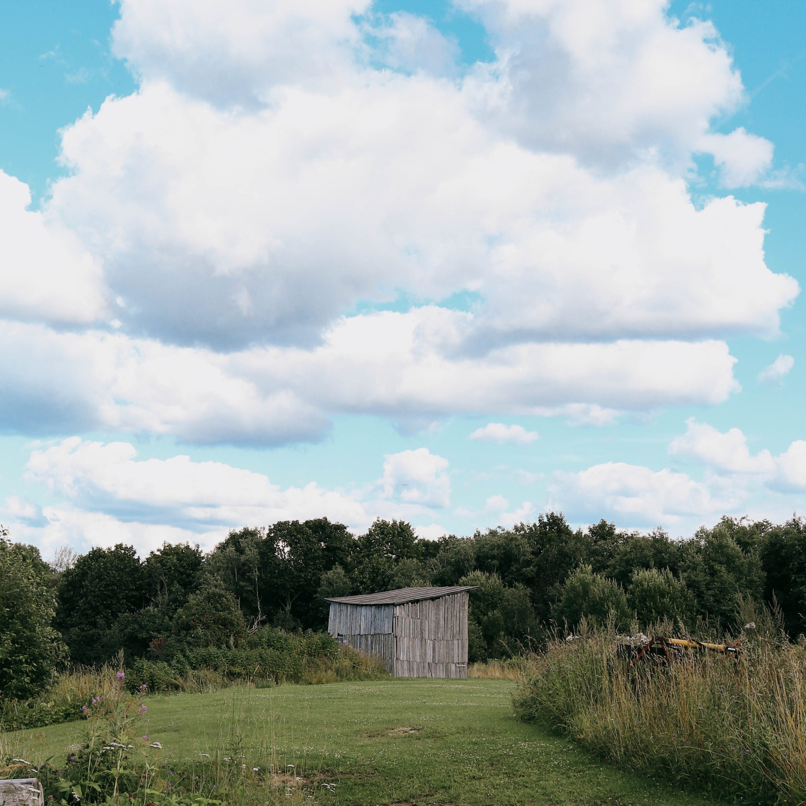 Are there fairies here by this shed in the countryside? There were by the inn. Do you know how to say fairies in French? Find out with this clip from Balades