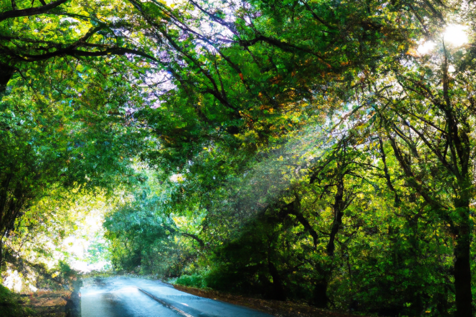 Rather, do you know how to say that in French? take this path and hear it in a clip from the Inner French podcast, improve your French listening skills